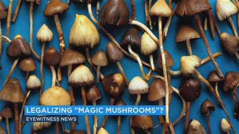The Role of Magic Mushrooms in Eastern Philosophies and Practices